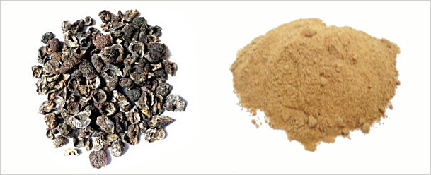 Amla Powder Amla Powder