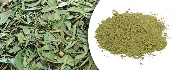 Henna Leaves | Henna Powder Henna Leaves and Powder